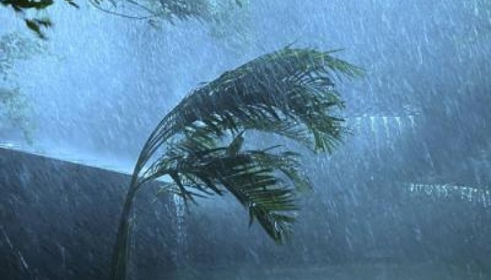 আগামী ৫ দিন বৃষ্টির সম্ভাবনা